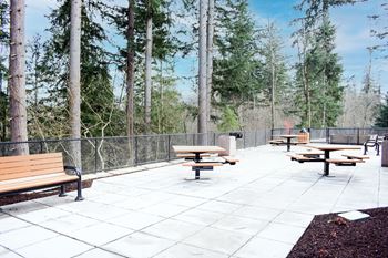 Picnic and grilling station 