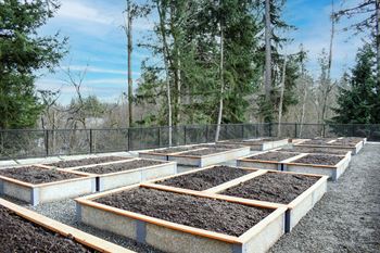 Garden plots 