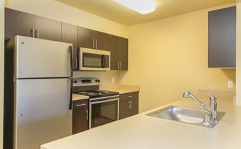 Fully equipped kitchen with refrigerator, microwave, dishwasher