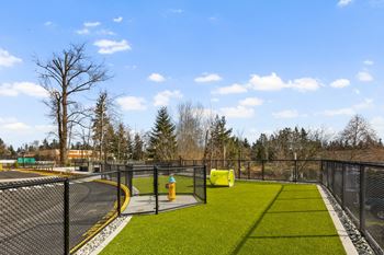 Pet area