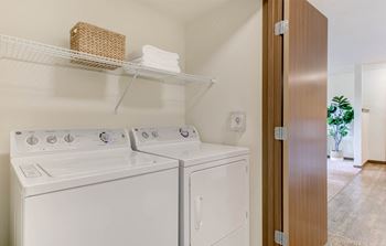 Apartment-washer1100x700