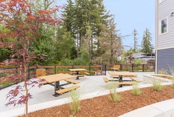 Picnic area
