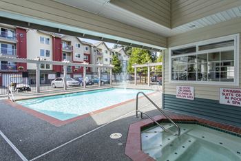 Outdoor pool and spa