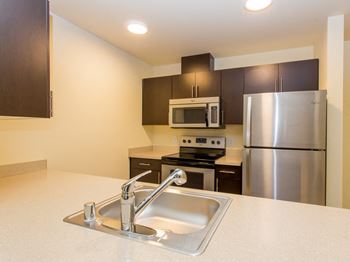 Fully equipped kitchen with refrigerator, microwave and dishwasher