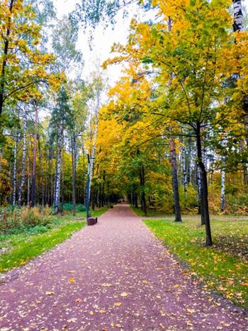 Nature trails and walking trails