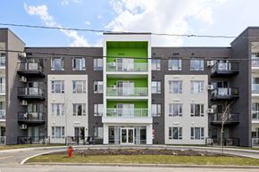 Thurso apartment for rent - A large apartment building with a green and white section in the middle.
