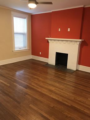 Saint Louis apartment for rent - a living room with a fireplace and a wooden floor