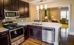 St. Louis apartment for rent - large kitchen stainless appliances quartz countertops open concept for entertaining university city u city delmar loop washington university wash u student housing