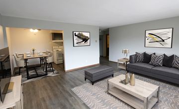 Edina apartment for rent - a living room and dining room with a couch and a table