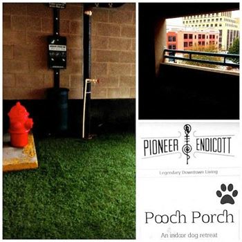 Pioneer endicott dog porch