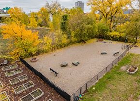 Minneapolis apartment for rent - Stone Arch Dog Park, Minneapolis, Minnesota