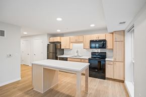 Minneapolis apartment for rent - The Theodore Apartments, Minneapolis, Minnesota