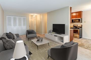 West St. Paul apartment for rent - a living room with a couch and a television