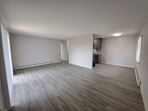 Richfield apartment for rent - Corinthian Apartments Richfield, MN Living Room