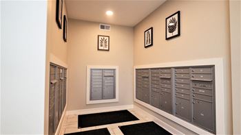 Cadence apartments mailroom