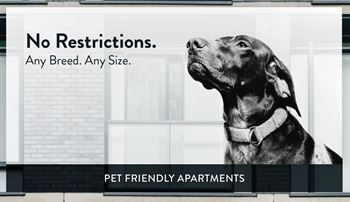 The hollows pet friendly