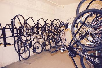 Pioneer endicott bikes