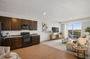 Minneapolis apartment for rent - Lake Street Dwelling Apartments, Minneapolis MN