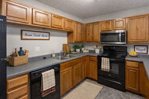 Minneapolis apartment for rent - Marcy park Apartments, Dinkytown, Minneapolis, MN