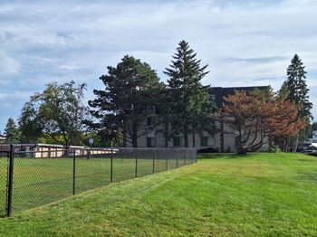 Dog park
