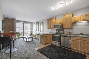 Minneapolis apartment for rent - Stone Arch I Living Room, Minneapolis, Minnesota