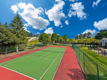 Community court 