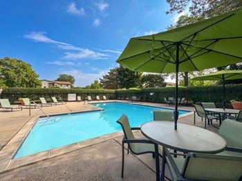 Modern swimming pool