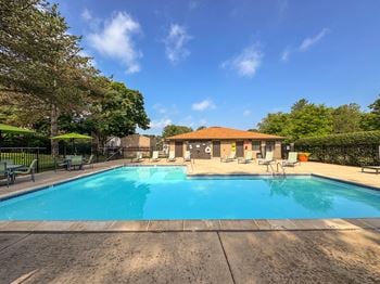 Luxury swimming pool