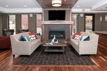 St. Paul apartment for rent - a living room with couches and a fireplace    and a tv