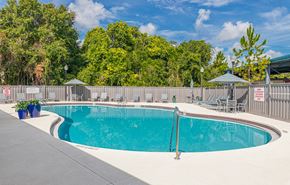Orlando apartment for rent - Dominium-Chapel Trace-Pool