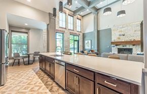 Austin apartment for rent - Dominium-Franklin Park-Community Kitchen