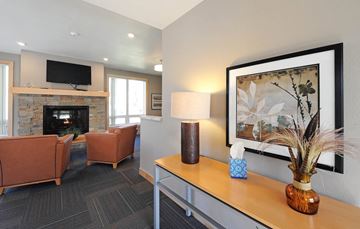 St. Paul apartment for rent - a living room with couches and a fireplace