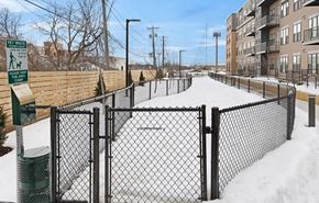 St. Paul apartment for rent - Dog Park at Millberry Apartments, St. Paul Minnesota