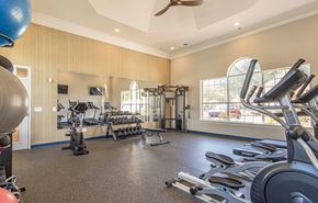 Lawrenceville apartment for rent - Dominium-Mulberry Place-Fitness Center