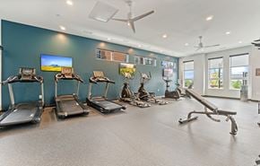 Roseville apartment for rent - Dominium-Oasis at Twin Lakes-Fitness Center