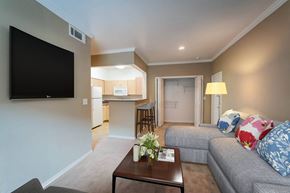 Houston apartment for rent - Living Room with TV at Villa Springs, Houston
