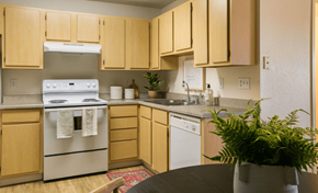 Albuquerque apartment for rent - Dominium-VillaHermosa-Apartment01.png