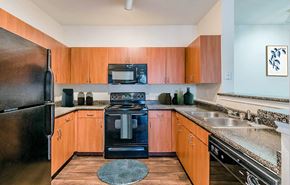 Dallas apartment for rent - Vinewood_Kitchen