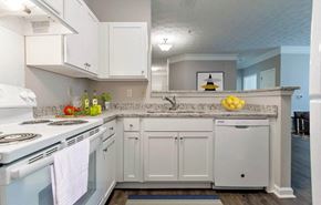 Covington apartment for rent - Wellington Ridge_Kitchen