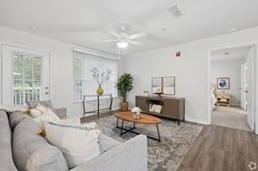 Lithonia apartment for rent - Dominium_Alexander_Living Room1.jpg