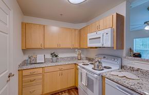 Fort Worth apartment for rent - Dominium_Cobblestone_Kitchen2