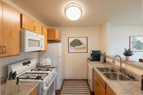 Albuquerque apartment for rent - Dominium_Desert Willow_Kitchen-5
