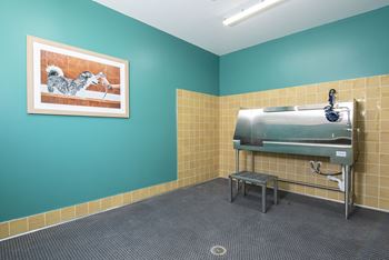 Pet grooming station