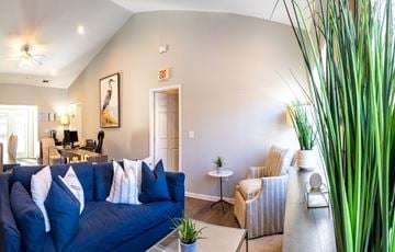 Hermitage apartment for rent - A living room with a blue couch and a green plant.
