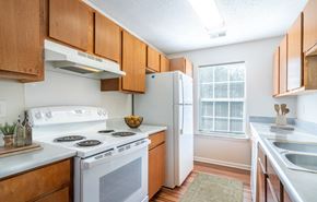 Hermitage apartment for rent - Dominium_FOWE_Kitchen.jpg