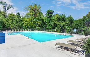 Hermitage apartment for rent - A large outdoor swimming pool surrounded by trees and lounge chairs.
