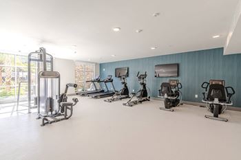 A gym with a row of exercise bikes and a treadmill.