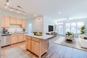 Decatur apartment for rent - Kitchen cabinets at The Meridian Apartments, Decatur 30032