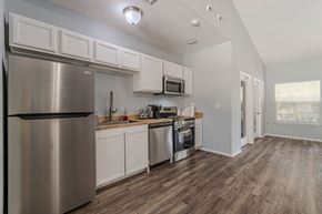 Dripping Springs apartment for rent - Dominium_TheSprings_Community08.jpg