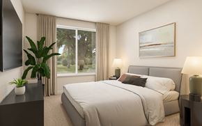 New Port Richey apartment for rent - Beautiful Bright Bedroom at Anchor at Gulf Harbors 62+ Apartments, Florida